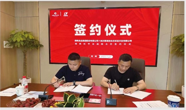 雨帆紅快報（7月第一期）
